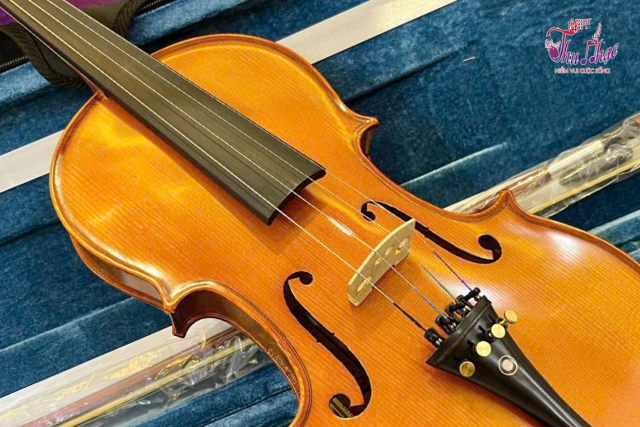Trung tâm sửa đàn violin tại quận Tân Phú