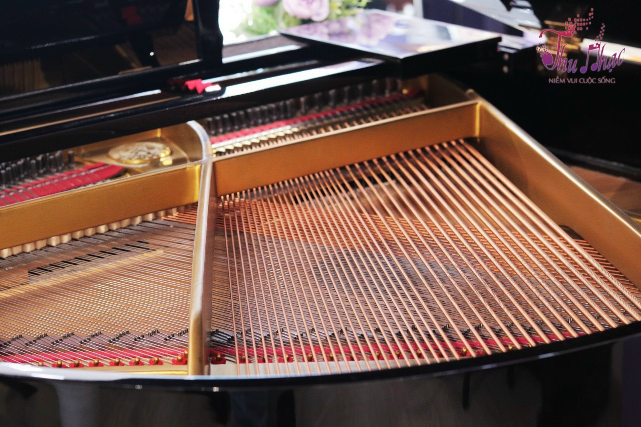 Thay dây đàn piano cơ quận Tân Phú
