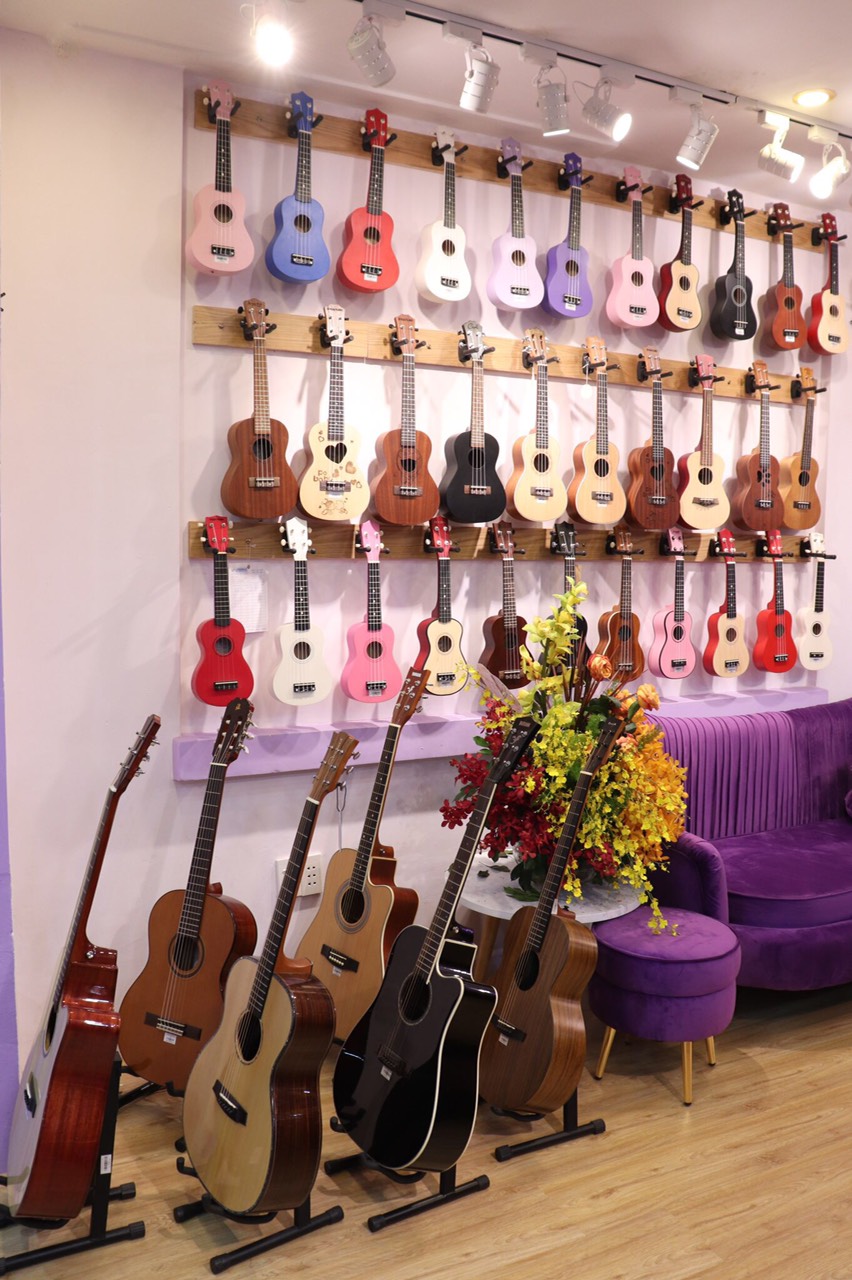địa điểm bán đàn ukulele tại Bình Chánh giá rẻ.