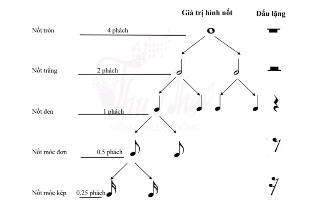 Giá trị trường độ các nốt nhạc cơ bản