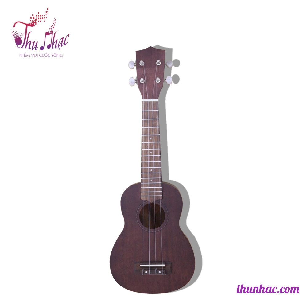 Đàn Ukulele gỗ Concert size 21