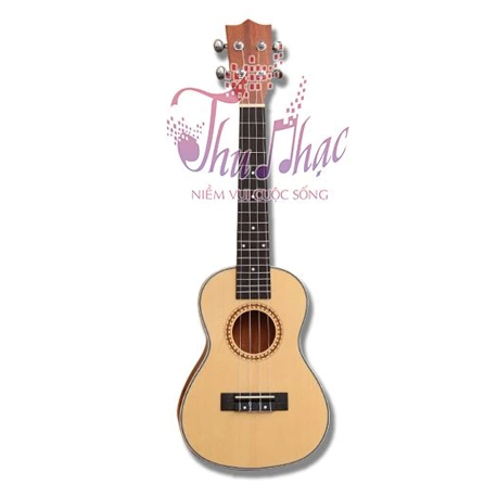 Đàn Ukulele concert gỗ size 23 chất lượng