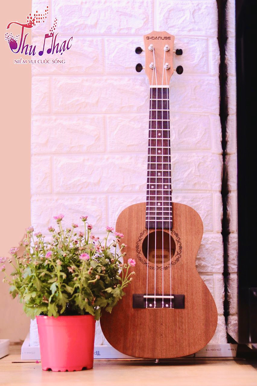 Đàn Ukulele gỗ size 23 chất lượng giá rẻ