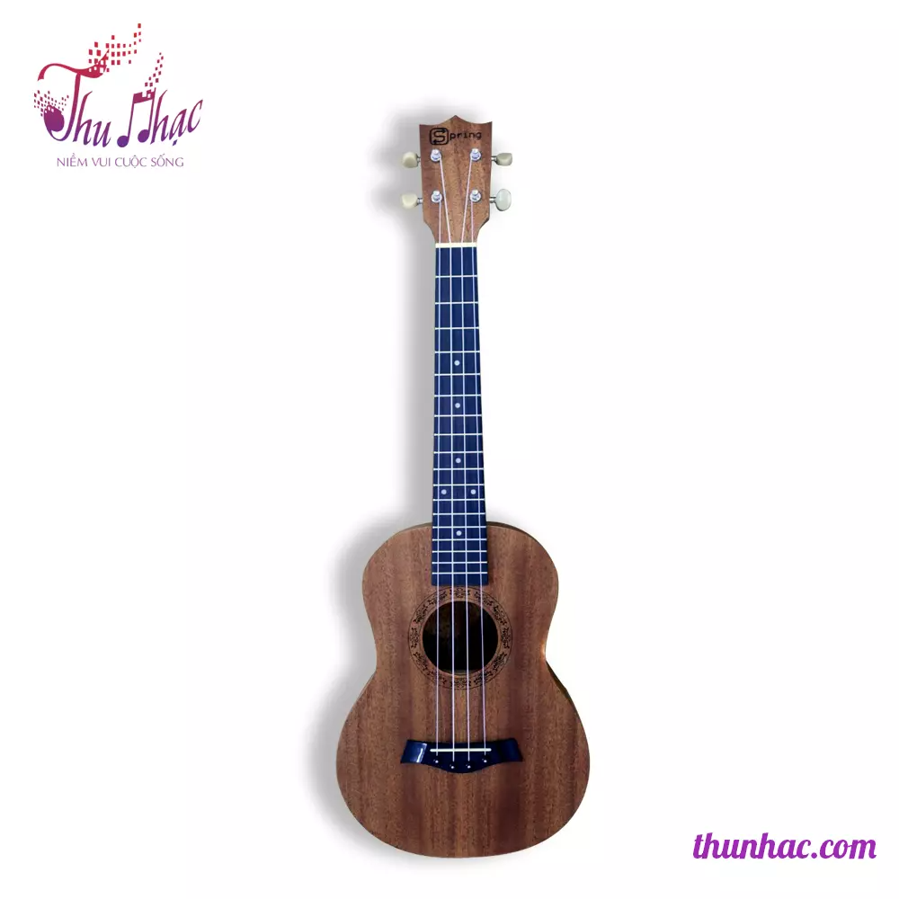 Đàn ukulele gỗ Concert size 21 chất lượng