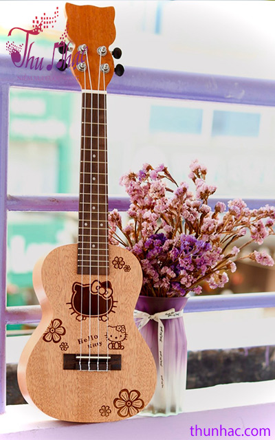 đàn ukulele concert hình tại tphcm