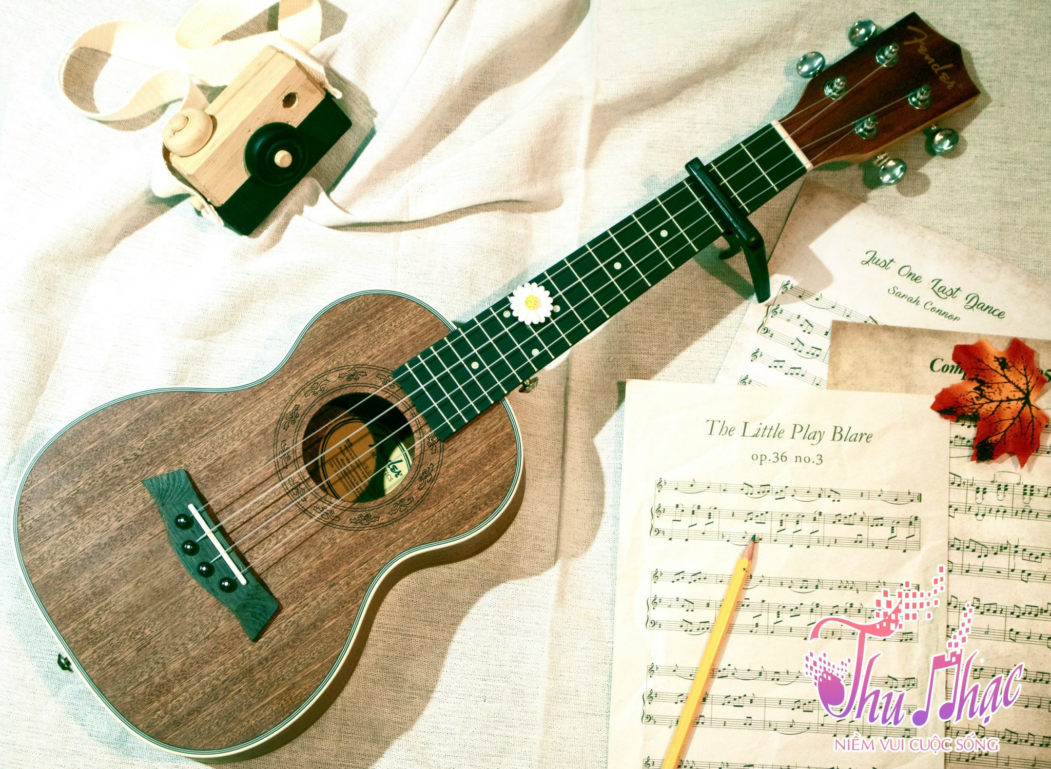 Đàn ukulele gỗ giá rẻ quận 9