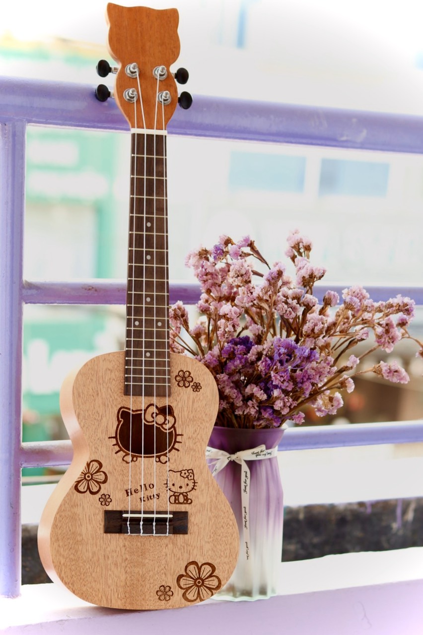Đàn Ukulele họa tiết hoạt hình đẹp chất lượng