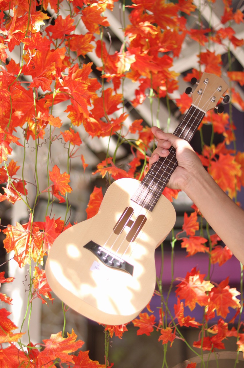 Đàn Ukulele gỗ size 21 họa tiết uy tín