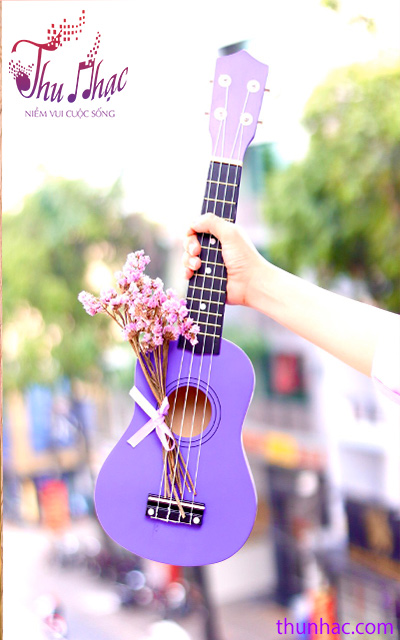 đàn ukulele mẫu mã đẹp tại tphcm