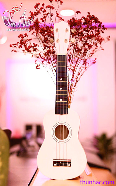 ban-ukulele-tai-tphcm