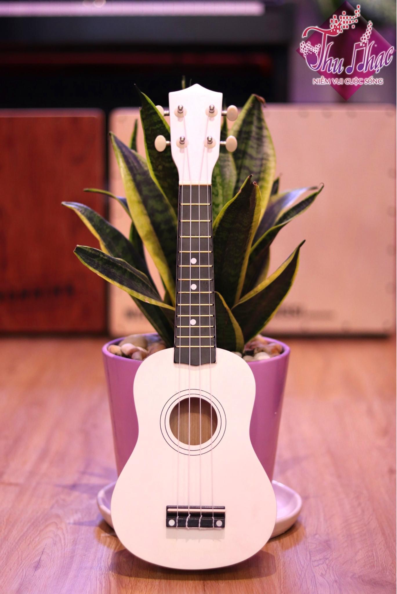 Đàn Ukulele màu trắng xám
