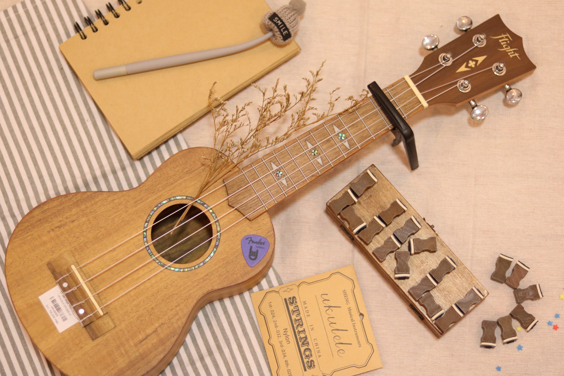 kích thước giữa đàn guitar và đàn ukulele