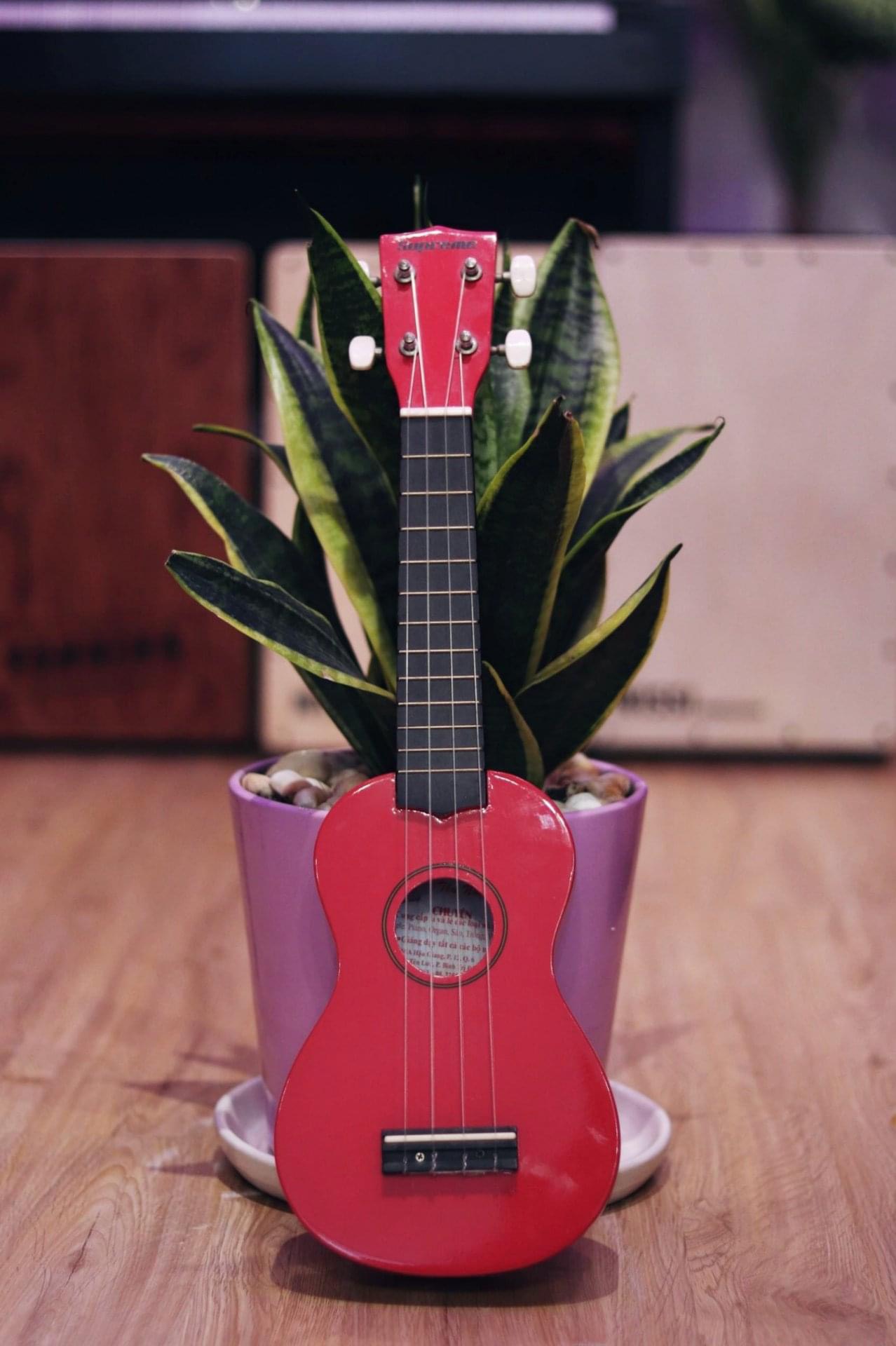 Đàn ukulele màu đỏ giá rẻ