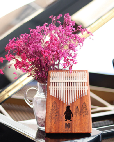 Các thương hiệu đàn kalimba uy tín chất lượng