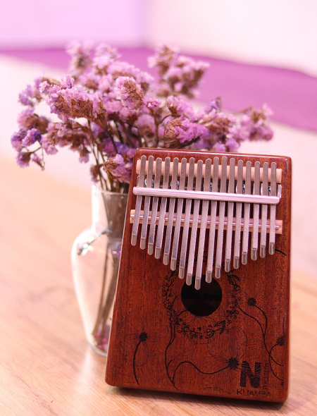 Các thương hiệu đàn kalimba uy tín chất lượng