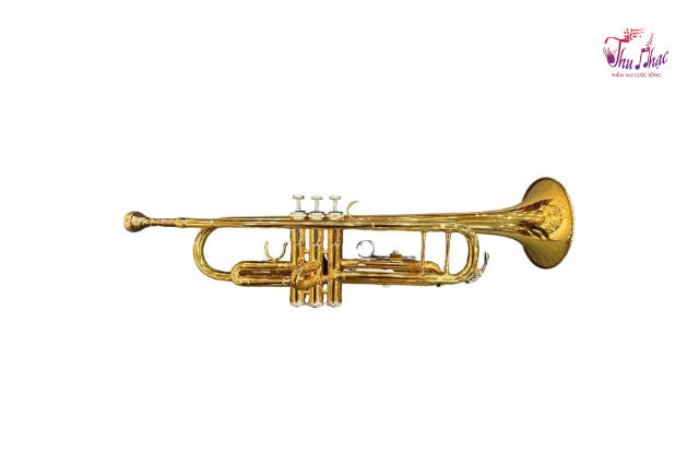 Mua kèn Trumpet quận Tân Phú giá rẻ
