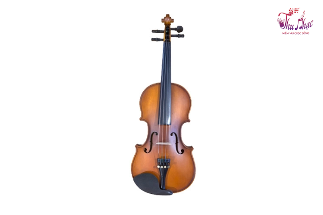 Mặt trước đàn violin Victoria size 4/4