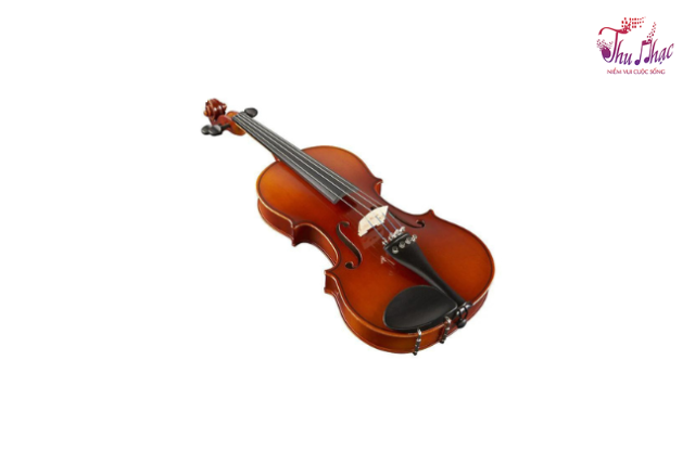 Mặt đàn violin Suzuki size 3/4