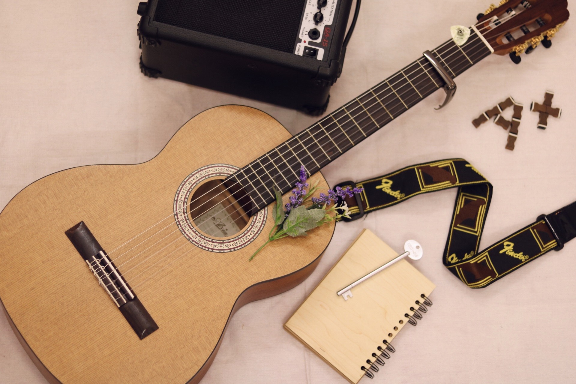Đàn Guitar classic tại Thu Nhạc
