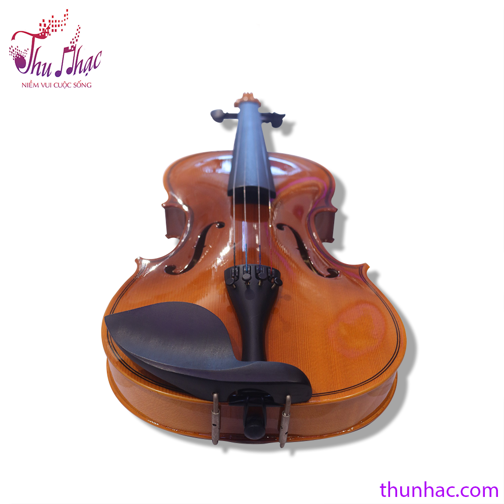 gối tựa đnà violn