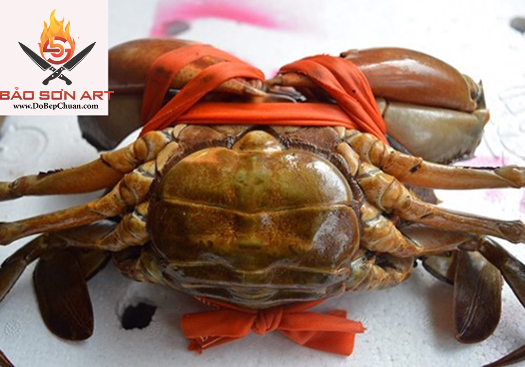 CUA CÁI YẾM BÔNG