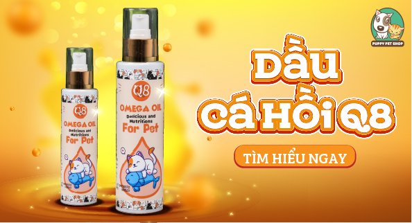 Dầu Cá Hồi Q8 150ml