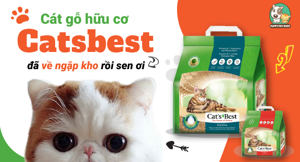 Cát gỗ hữu cơ Đức Catsbest Sensitive 8L