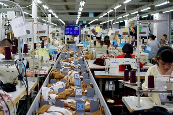 Phân loại các ngành nghề kinh doanh phổ biến hiện nay