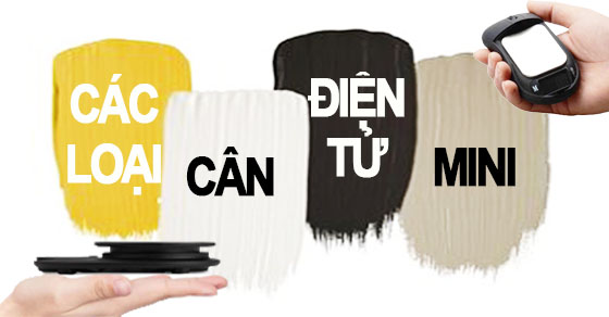 các loại cân điện tử mini