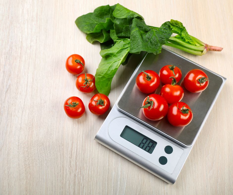 cân điện tử chống nước