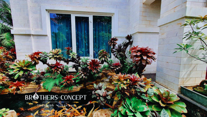 Hướng dẫn thi công hồ cá Koi