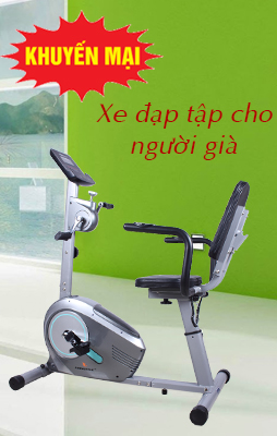 XE ĐẠP TẬP THỂ DỤC