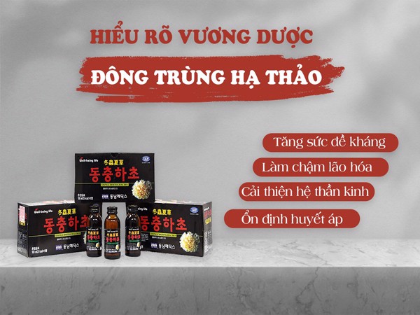 hiểu rõ về lợi ích vương dược đông trùng hạ thảo