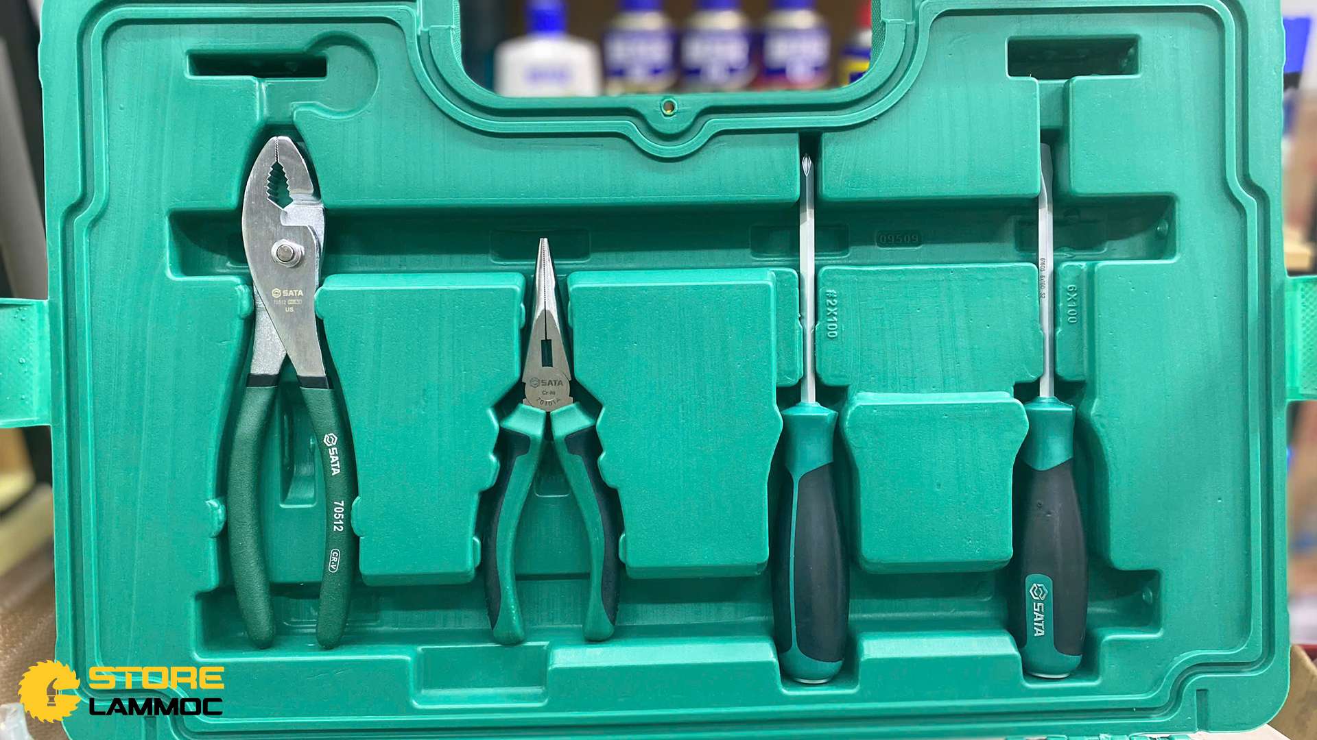 Bộ dụng cụ sửa chữa ô tô (bộ 59 cái) Sata 09509