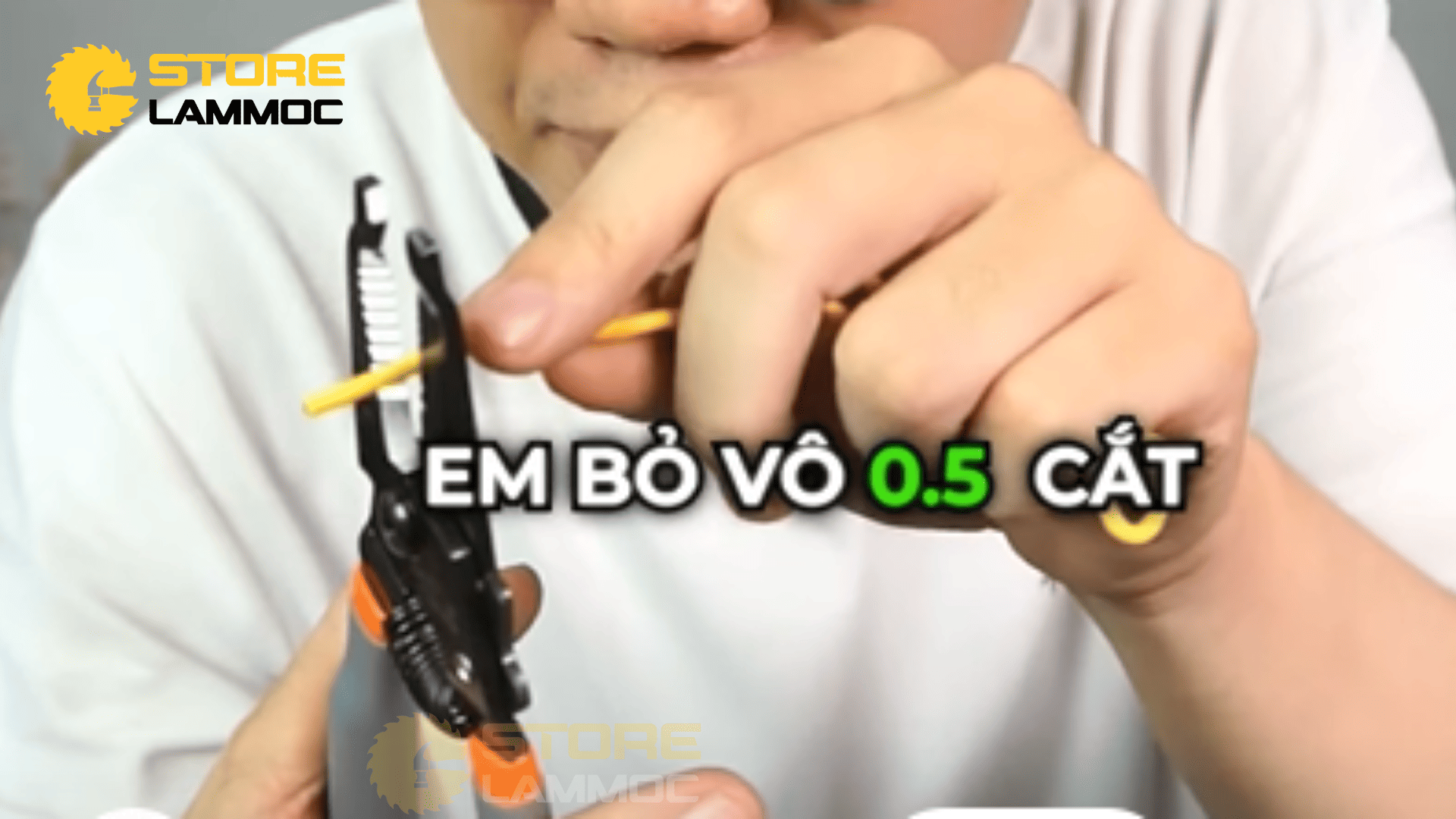 Kìm tuốt dây FUJIYA PP323B-165