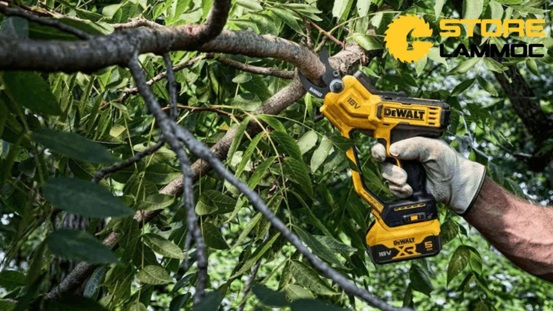 Máy cắt cành pin 20V Dewalt DCMPP568N