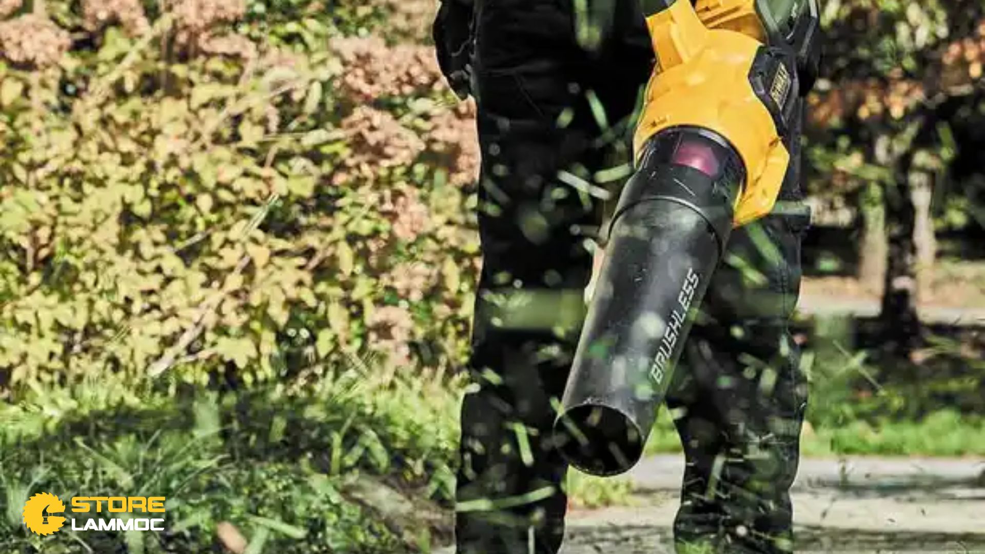 Trải Nghiệm Sử Dụng Thực Tế