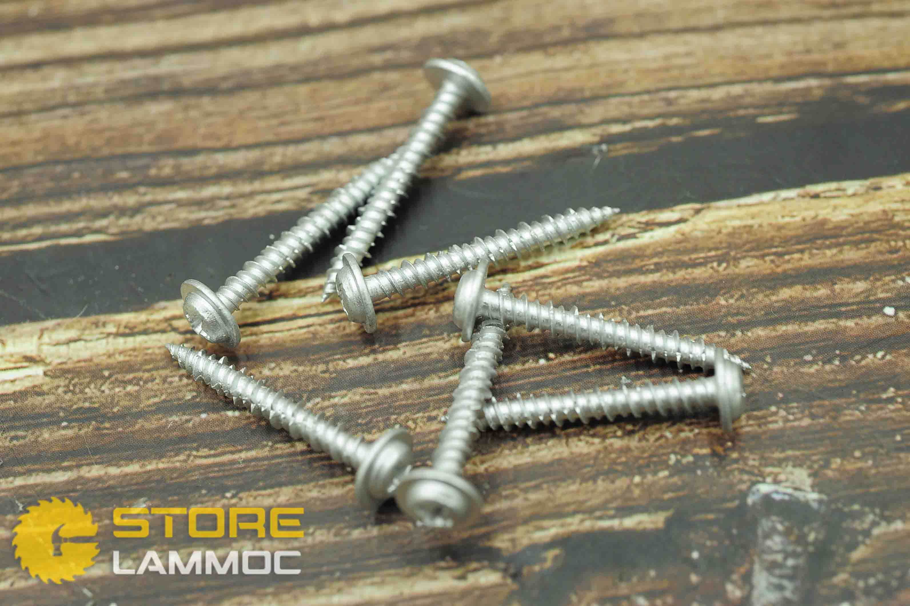 Vít không tắc kê đầu nón Unika