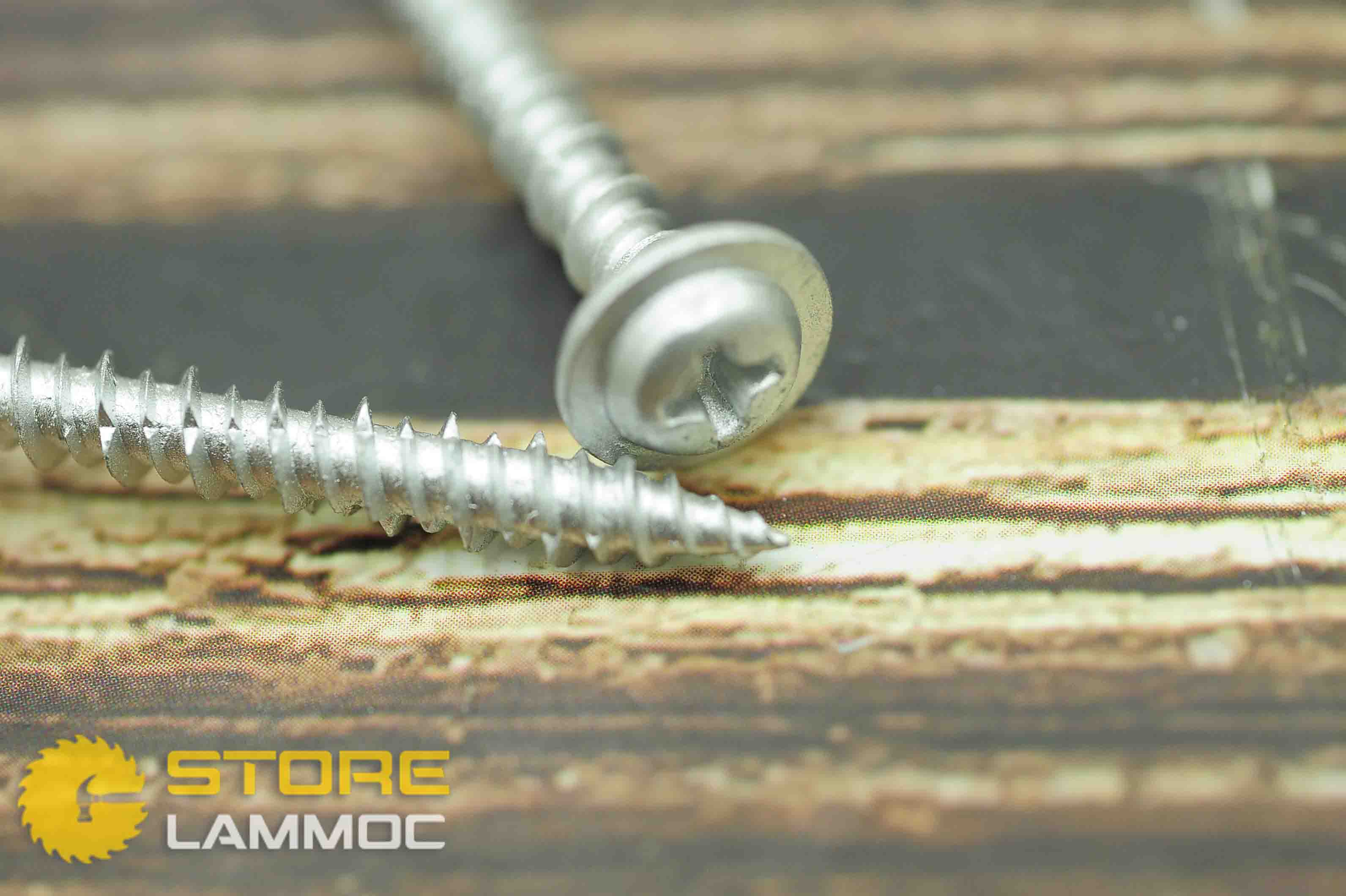 Vít không tắc kê đầu nón Unika