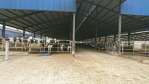 Cần lựa chọn hệ thống lọc nước phù hợp với quy mô trang trại