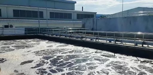 Nước thải sinh hoạt nếu không được xử lý đúng cách sẽ gây ra hậu quả khó lường