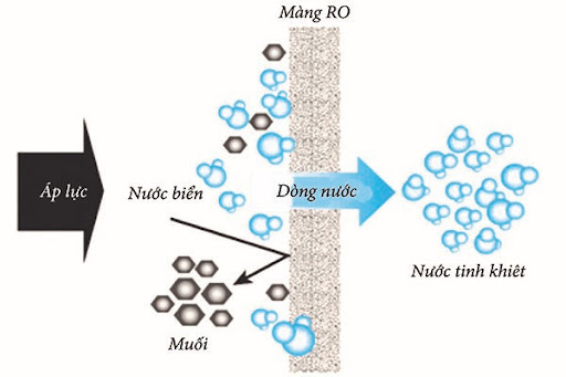 Các phân tử muối sẽ được loại bỏ hoàn toàn khi đi qua máy lọc nước biển