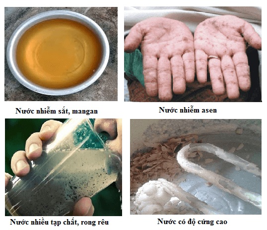 Các tác nhân gây bệnh trong nước sinh hoạt