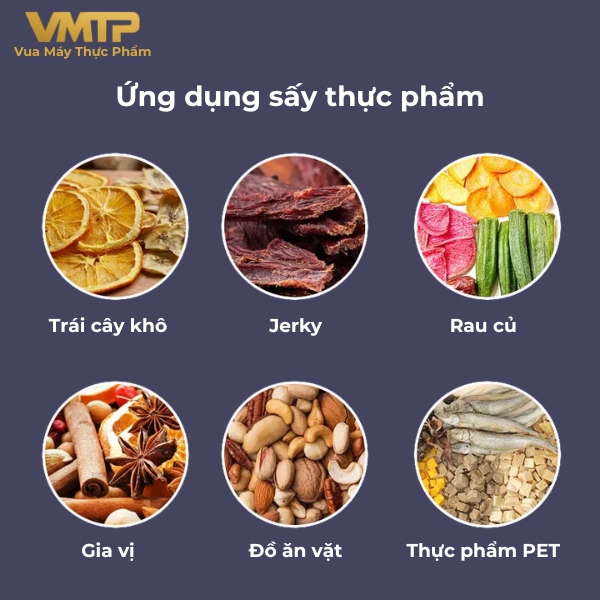 Máy Sấy Thực Phẩm Công Nghiệp 80 Khay SS-80H