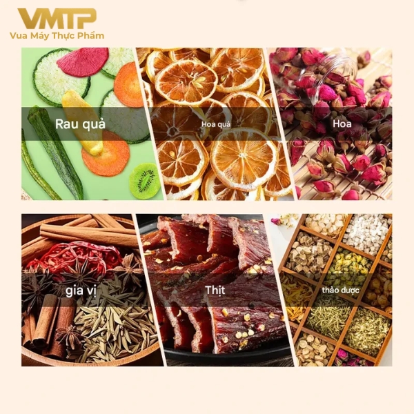 Máy Sấy Thực Phẩm Gia Đình 12 Khay SS-12H