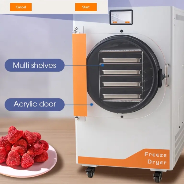 Máy Sấy Thực Phẩm Thăng Hoa 4Kg DFD-04