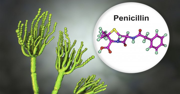 Phối hợp kháng sinh