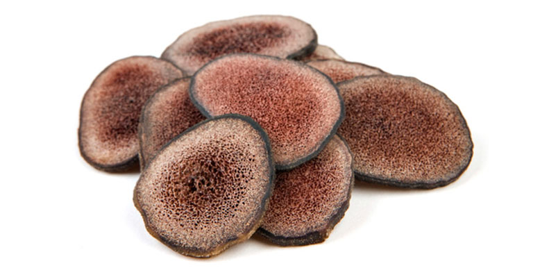 Tác dụng của nhung hươu a