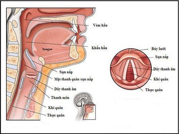 Cách trị khàn tiếng