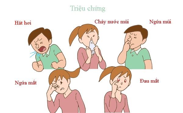 Biểu hiện của bệnh viêm mũi dị ứng